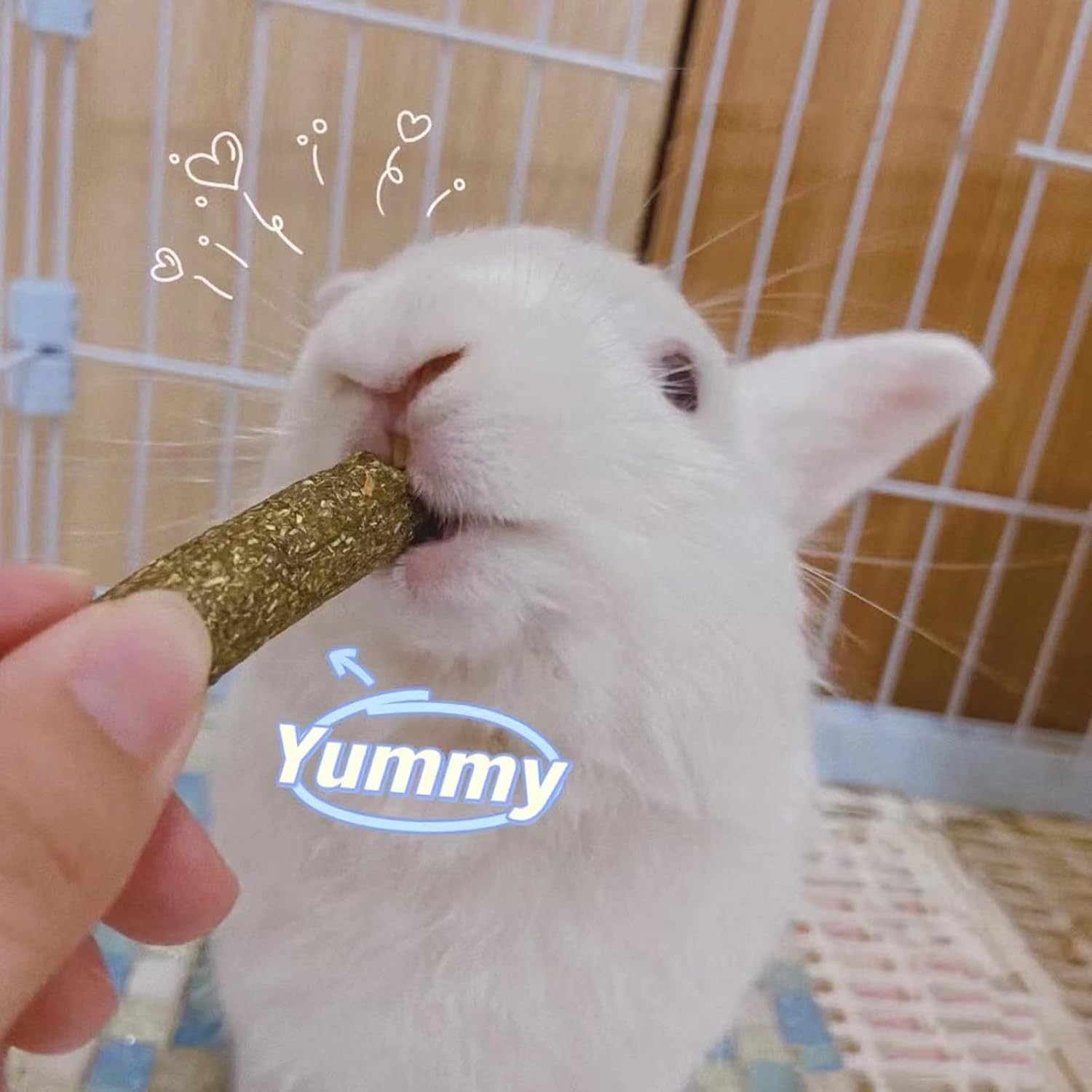 Grddaef 20 PCS Bunny Chew Toys, Apple Wood and Timothy Sticks - GlobalHabitat Supply