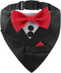 Tuxedo Dog Collar for Wedding Engagement and Birthday, Adjustable Formal Dog by DOGTACT