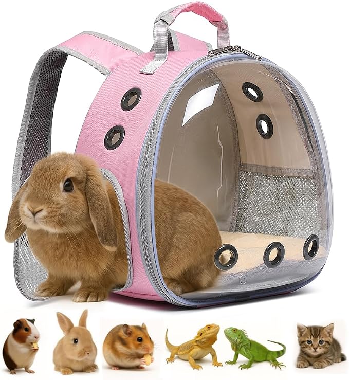 Bunny Carrier, Guinea Pig Carrier, Small Animal Carrier Backpack by Hcupet