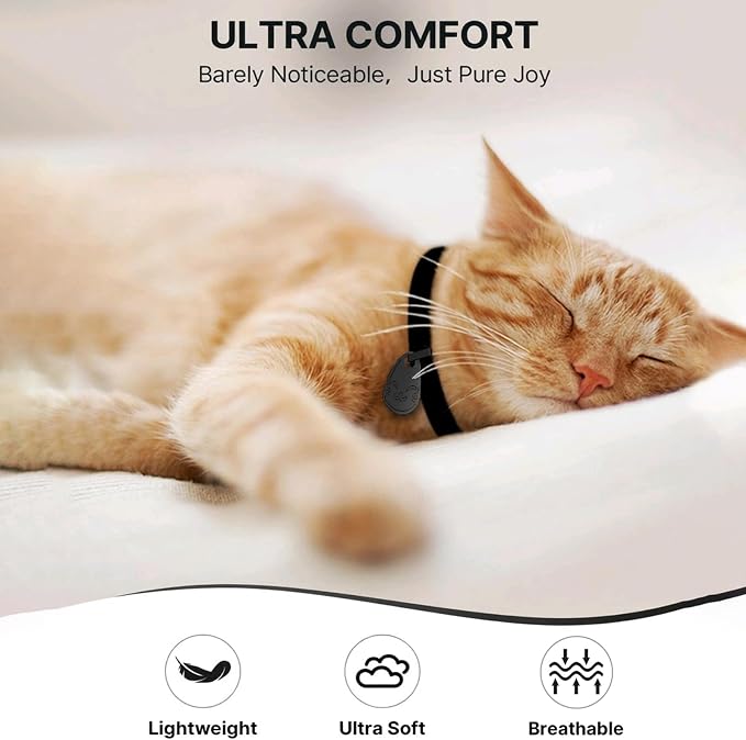 Cat Collar with QR Code Name Tag, Breakaway Kitten Collar - Image 4