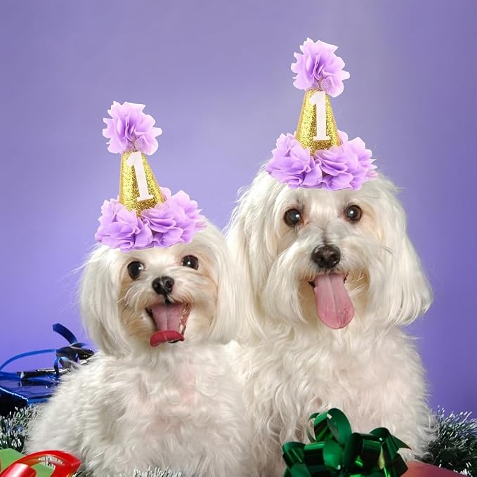 Stock Show 1st Pet Birthday Cone Hat Dogs Cats Holiday Party Hat Headwear - Image 3
