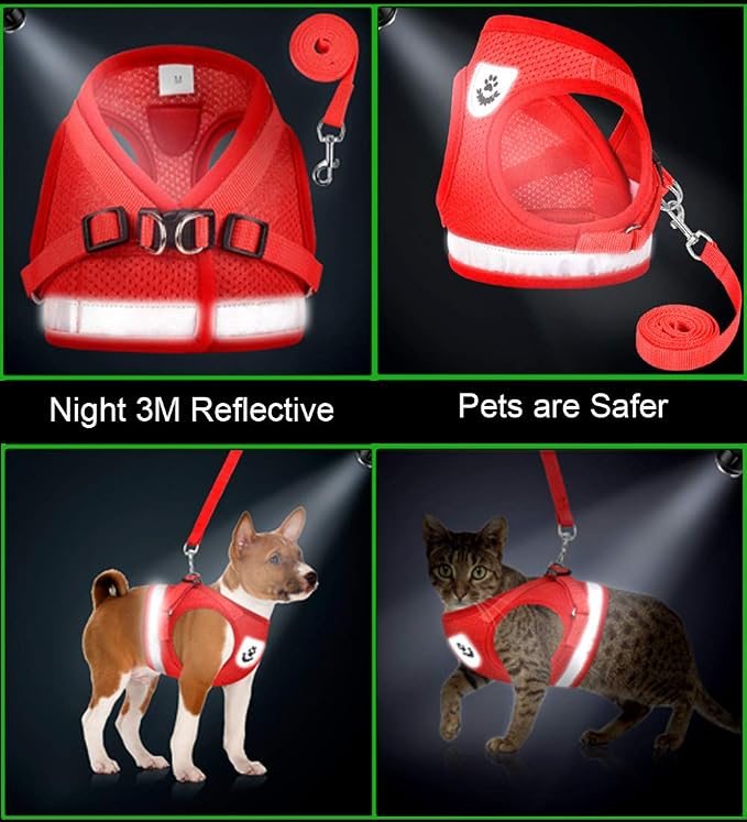 Cat Harnesses and Puppy Harness - Image 5
