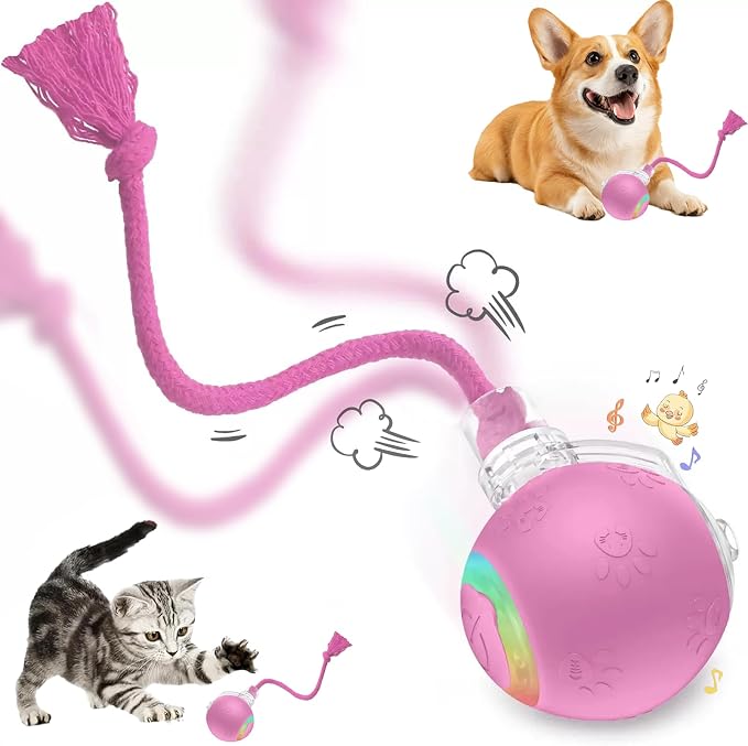 FUNNYDUCK Speed 2.0 Tail Interactive Cat Toy – Motion-Activated Rolling Ball by Unknown