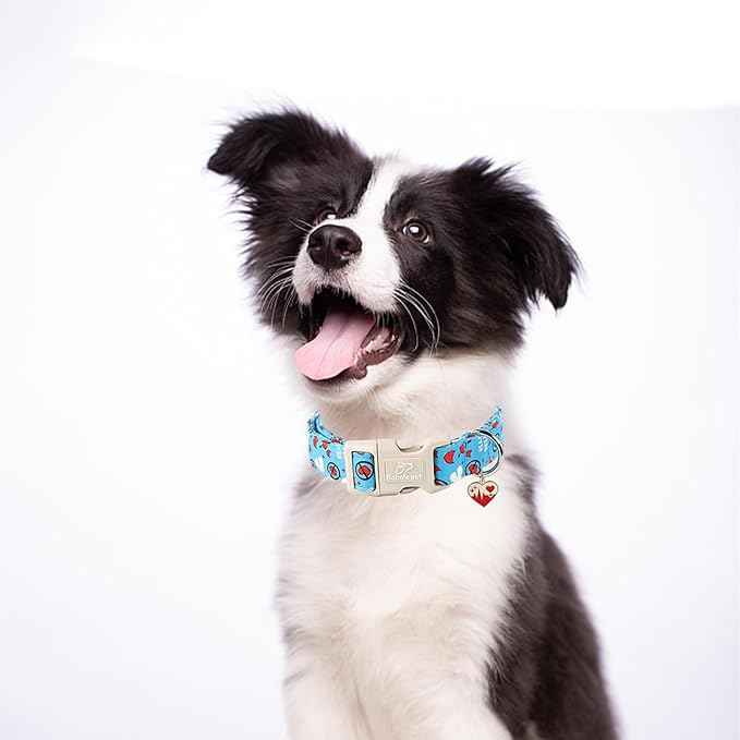 Valentines Dog Collar, Cute Loving Heart Printed Collar