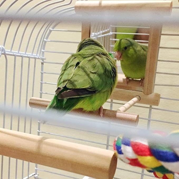 HANZE Bird Mirror Swing with Rattan Ball | Natural Wood Parrot Toy with Metal - Image 9