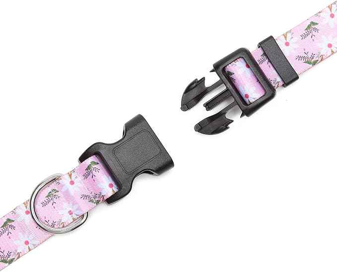 Mercano Adjustable Dog Collar