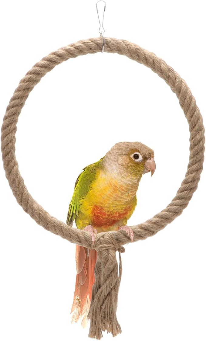 Bird Rope Swing Toy Parrot Climbing Perch Stand by Wontee
