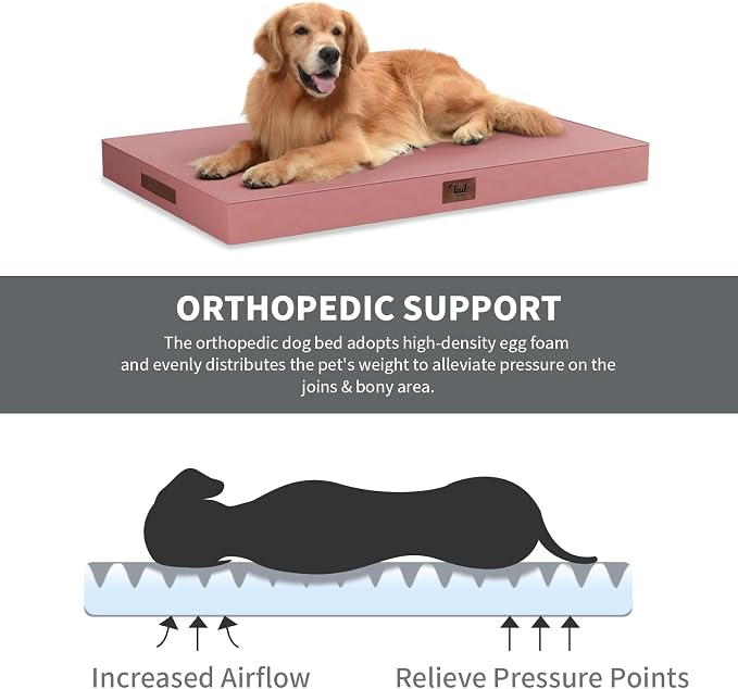 Outdoor Dog Bed for Small Dogs & Cats, Waterproof Dog Crate Mat Orthopedic Egg - Image 3