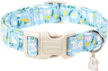 DOGWONG Easter Dog Collar-Cute Easter Rabbit Bunnies Egg Dog Collar, Adjustable by DOGWONG