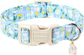 DOGWONG Easter Dog Collar-Cute Easter Rabbit Bunnies Egg Dog Collar, Adjustable by DOGWONG