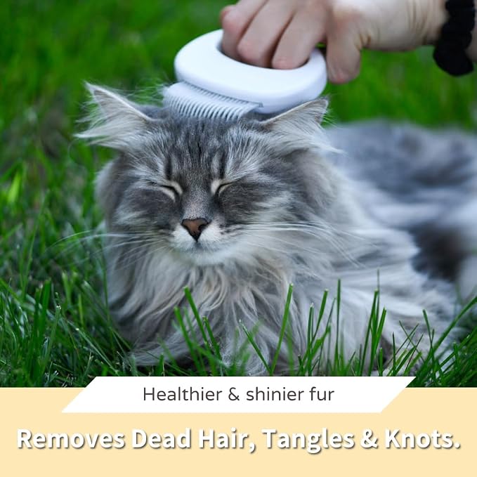 Leo's Paw The Original Pet Hair Removal Massaging Shell Comb Soft Deshedding - Image 4