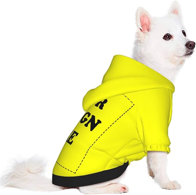 Personalized Chihuahua Dog Hoodie, Custom Pet Warm Sweatshirt Costume - Image 2