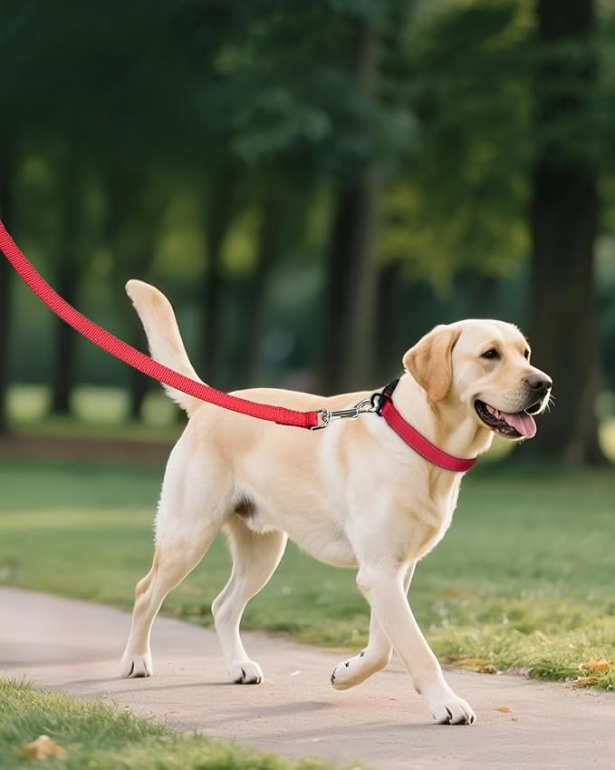 Joytale Reflective Dog Collar, Adjustable Nylon Pet Collar - Image 6