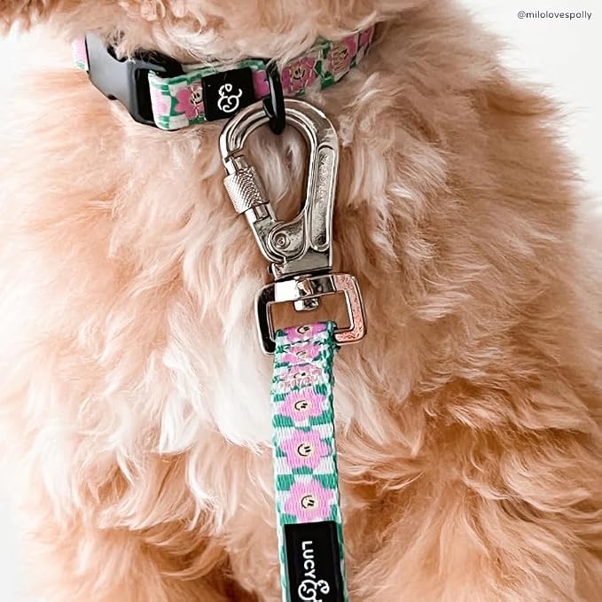 Lucy & Co. Making Rainbows, Cute Reversible Dog Harness Walking Halter - Image 2