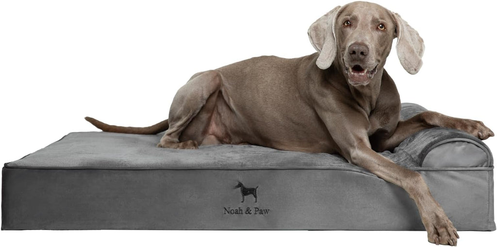 NOAH & PAW XL Dog Bed, Orthopedic Large Dog Beds, Eggshell Memory Foam Infused by NoahPaw