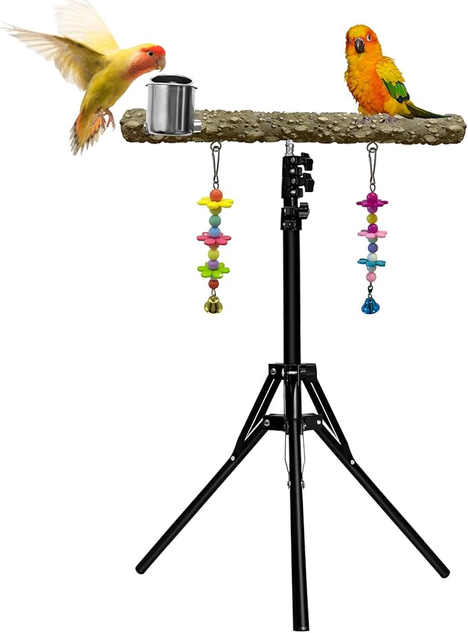 16-63 Inch Height Adjustable Bird Perch Pepper Wood Parrot Training Perch Stand by Unknown