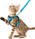 PUPTECK Cat Harness and Leash Set Escape Proof Reflective Cat Walking Harness by PUPTECK