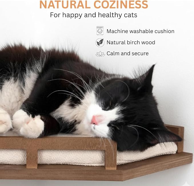 INICIO Cat Wall Shelves - Image 4