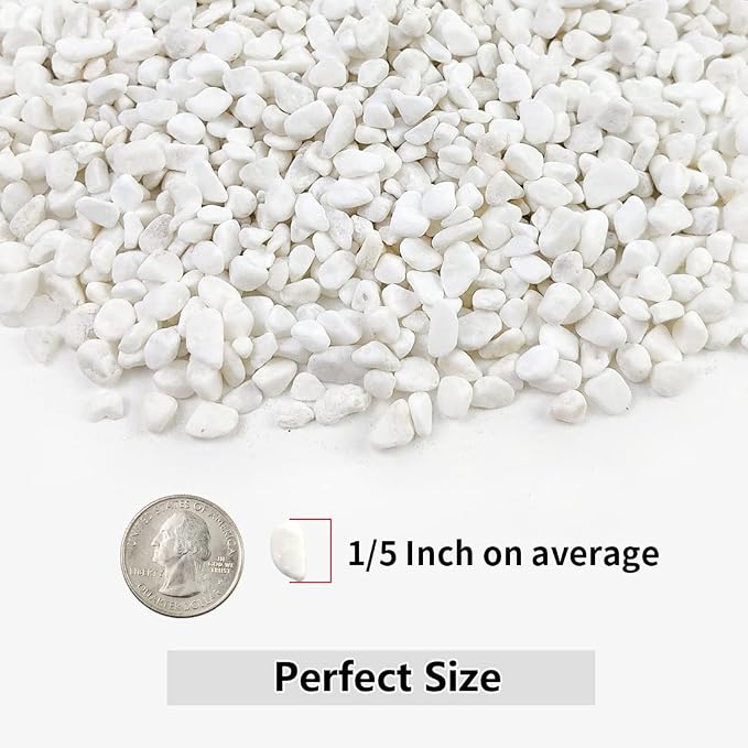 10LB Succulent and Cactus Gravel, 1/5 Inch White Natural Decorative Polished - Image 2