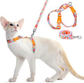 Dooradar Cat Harness and Leash, Escape Proof Adjustable Kitten Vest, by Dooradar