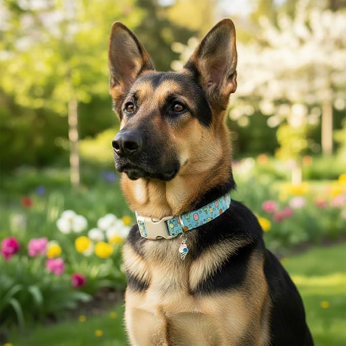 Small Dog Collar, Cute Dog Collar - Image 7