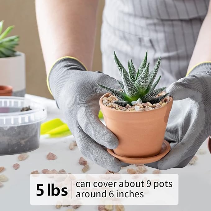 5LB Succulent and Cactus Gravel Pebbles, 1/5 Inch Natural Decorative Polished - Image 4