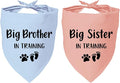 2 Pack Dog Bandana Pregnancy Announcement, Big Brother Sister in Training by YROVWENQ