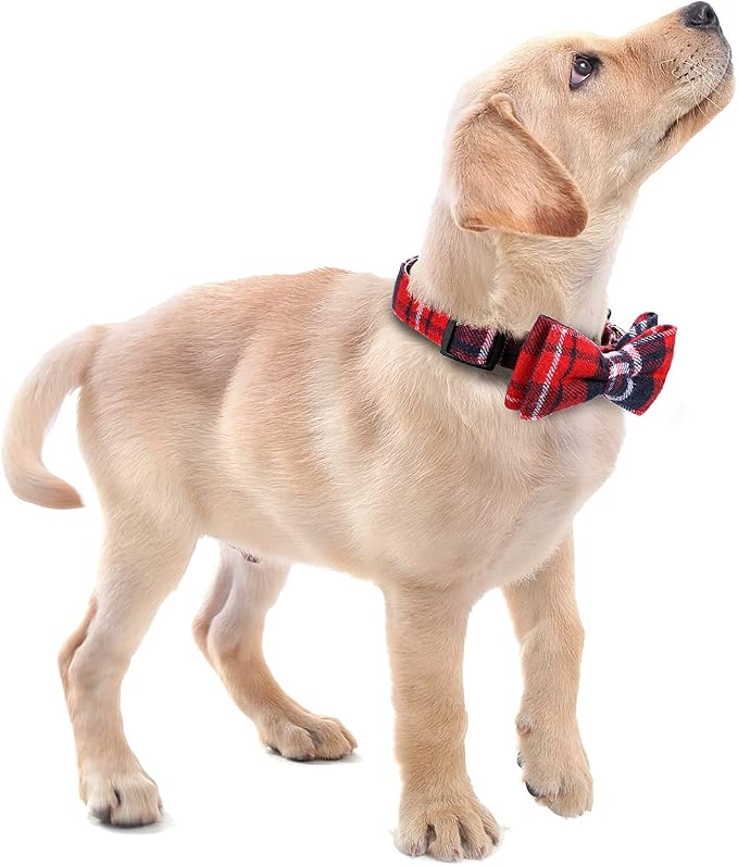 Faleela Soft &Comfy Christmas Bowtie Dog Collar, Detachable and Adjustable Bow - Image 6