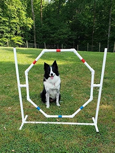 The Dog Agility Shop Dog Jump by The+Dog+Agility+Shop%C2%AE