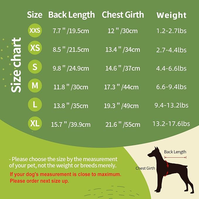 Personalized Chihuahua Dog Hoodie, Custom Pet Warm Sweatshirt Costume - Image 5