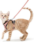 rabbitgoo Cat Harness and Leash by rabbitgoo