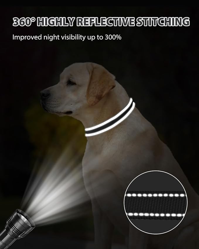 Joytale Reflective Dog Collar, Adjustable Nylon Pet Collar - Image 5