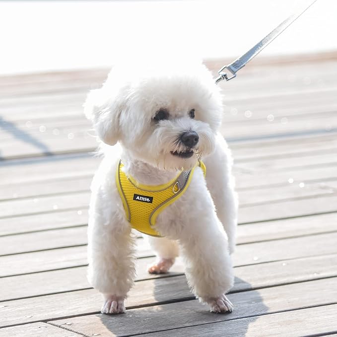 AIITLE Escape Proof Dog Harness - Image 9