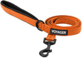 Best Pet Supplies Voyager Reflective Dog Leash or Collar by BestPetSuppliesLLC