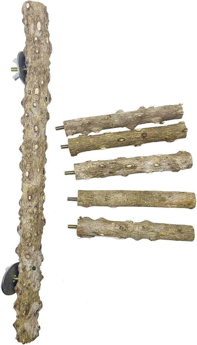 Allazone 3 PCS Nature Wood Bird Ladder Perch Nature Wood Stand Parrot Chew Toy - Image 4