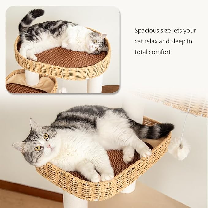 48'' Cat Tree for Large Cats, Modern Cat Tree Multi-Level Condo - Image 9