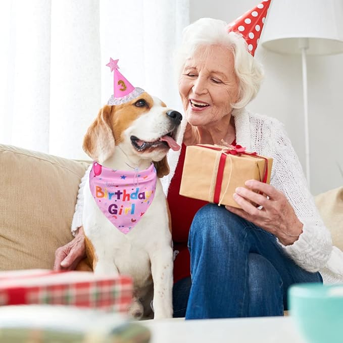 Dog Birthday Decorations, Dog Birthday Hat - Image 6