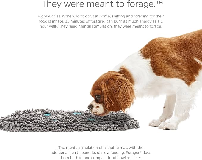 Pet Parents® Forager® Mats, Snuffle Mat - Image 4