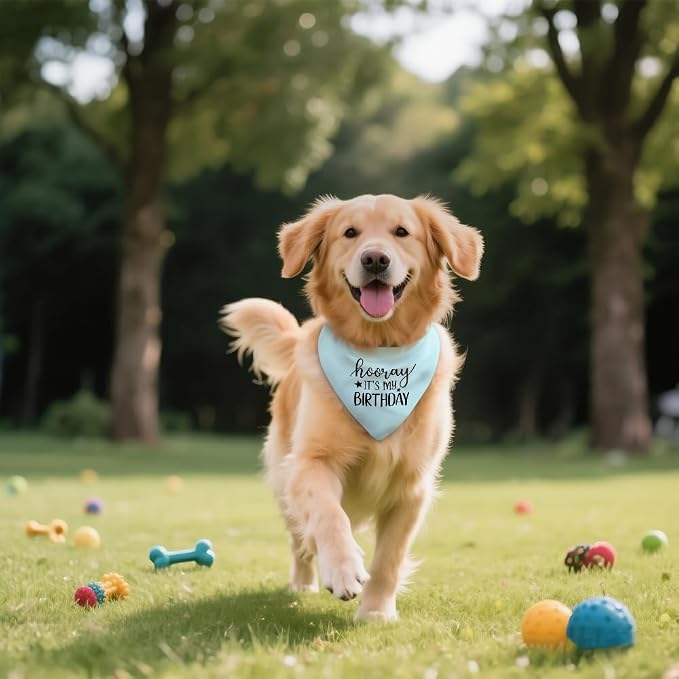 Hooray It's My Birthday Blue Dog Bandana, Cute Birthday Gifts - Image 5