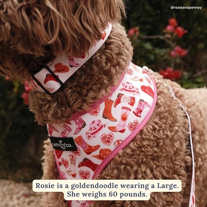 Lucy & Co. Howdy Honey Adjustable Dog Collar- Cute Designer Pet Collar - Image 2