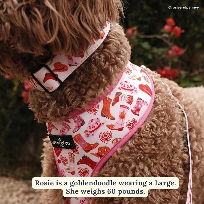Lucy & Co Reversible Dog Harness | Soft and Padded - Image 2