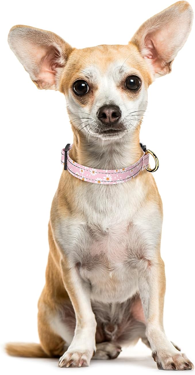 Reflective Dog Collar for Extra Small Dogs, Cute Daisy Theme Adjustable - Image 2