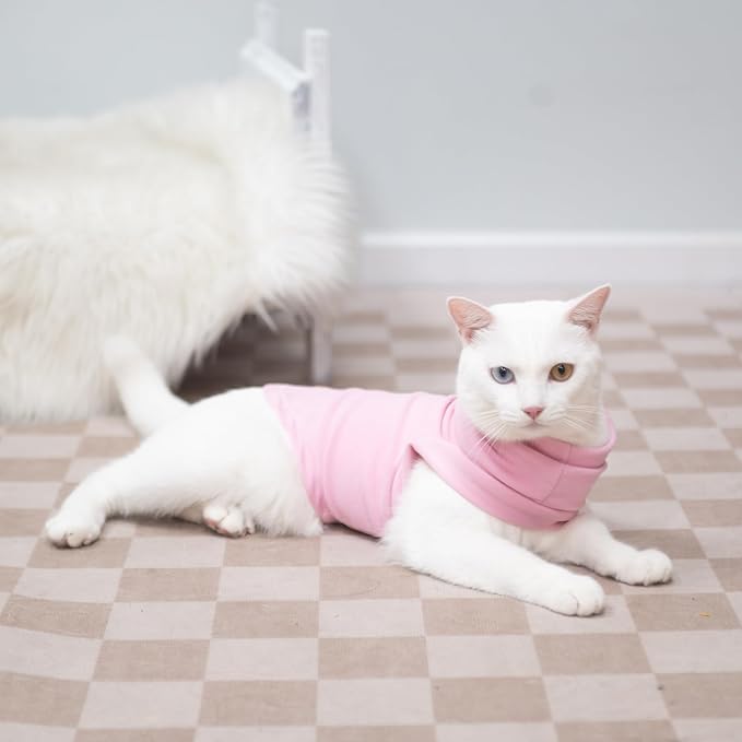 EXPAWLORER Soft Cat Sweater - Image 5
