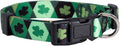 Native Pup St Patricks Dog Collar- Saint Patrick Green Shamrock Pet Collars- by NativePup
