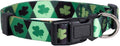 Native Pup St Patricks Dog Collar- Saint Patrick Green Shamrock Pet Collars- by NativePup