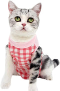 Cat Recovery Suit for Abdominal Wounds or Skin Diseases, Cat Onesie for Cats by Coppthinktu