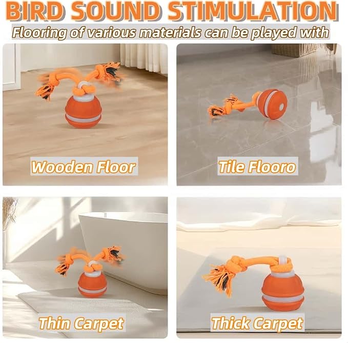 Interactive Dog Toys, Squeaky Dog Toys, Active Rolling Ball - Image 3