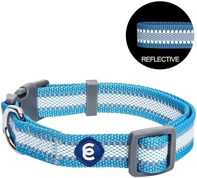Blueberry Pet Essentials Reflective Dog Collar - Image 5