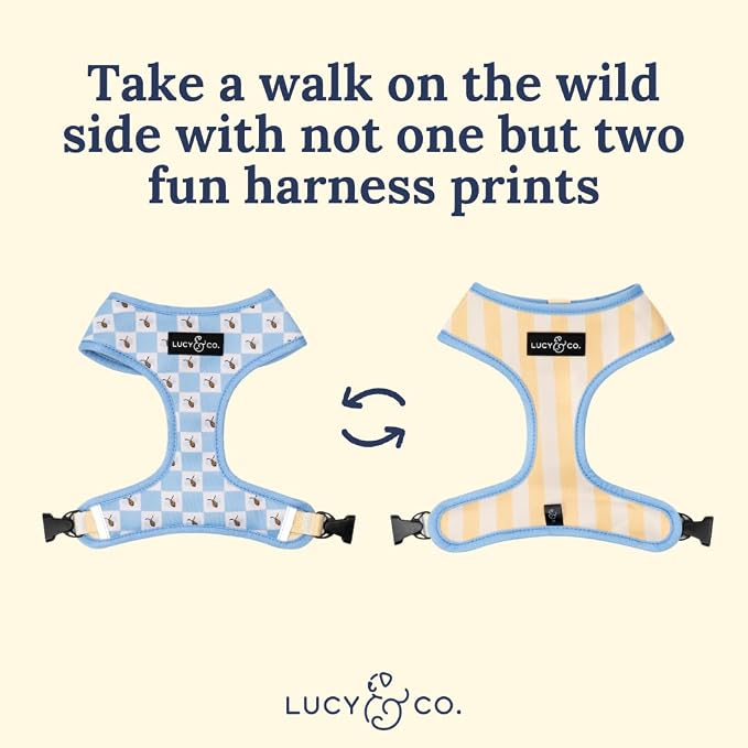 Lucy & Co. Bumbling Around Reversible Dog Harness, Adjustable Comfort Fit - Image 5