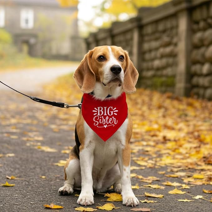 Big Sister Dog Bandana, Pet Dogs Pregnancy Announcement, Pet Bandanas - Image 5